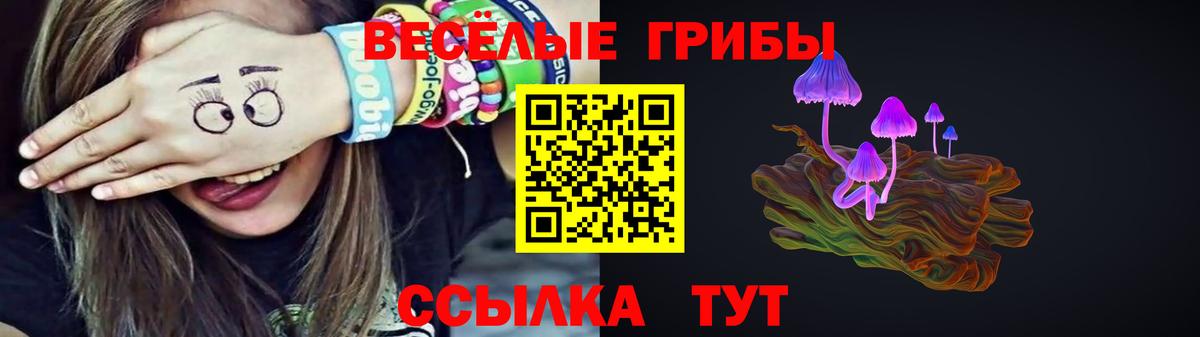 Псилоцибиновые грибы мицелий  Вход с VPN  Хабаровск 